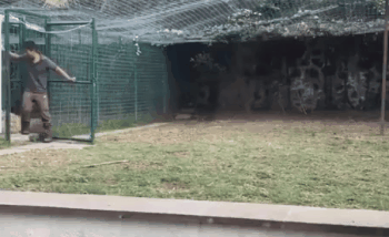 蘋果未來設計慘遭泄露 動圖 完成主人的任務罷了