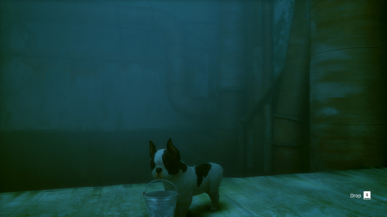 貓咪變狗狗 《Stray》新MOD讓你扮演一條可愛幼犬! 貓咪變狗狗 《Stray》新MOD讓你扮演一條可愛幼犬!