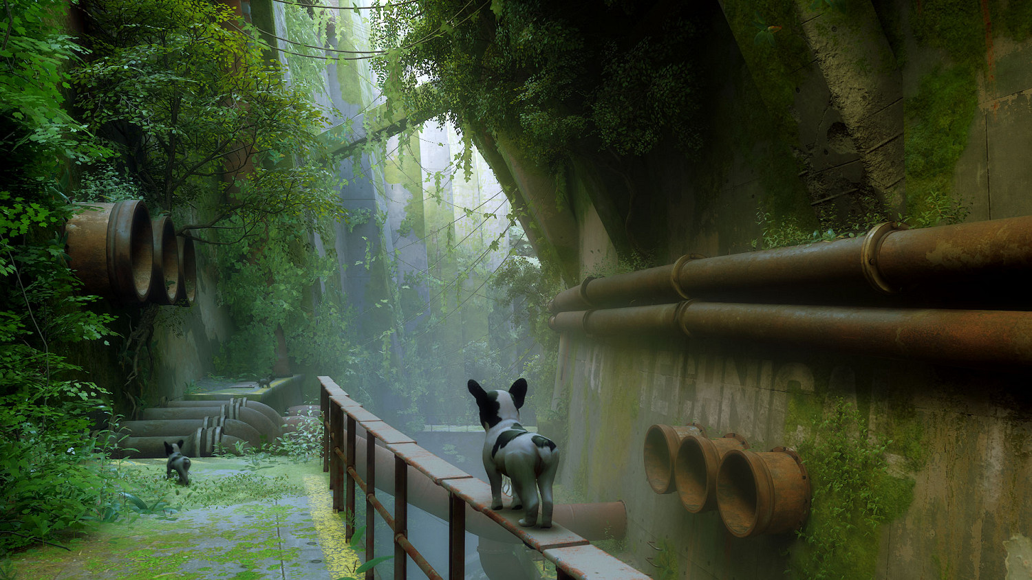 貓咪變狗狗 《Stray》新MOD讓你扮演一條可愛幼犬! 貓咪變狗狗 《Stray》新MOD讓你扮演一條可愛幼犬!