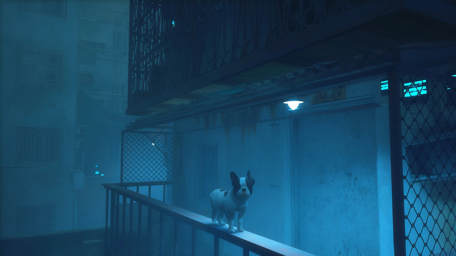 貓咪變狗狗 《Stray》新MOD讓你扮演一條可愛幼犬! 貓咪變狗狗 《Stray》新MOD讓你扮演一條可愛幼犬!