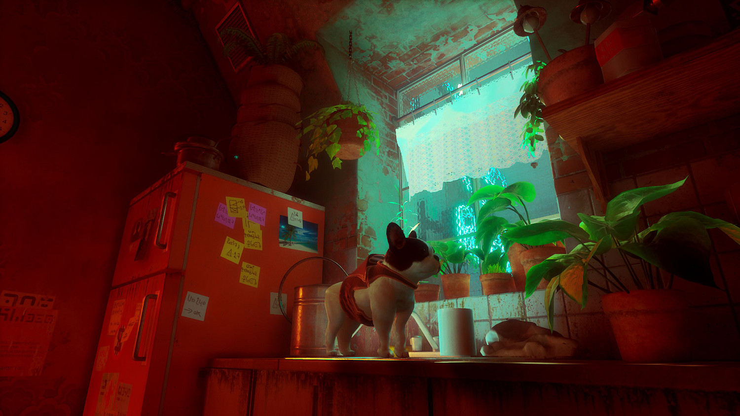 貓咪變狗狗 《Stray》新MOD讓你扮演一條可愛幼犬! 貓咪變狗狗 《Stray》新MOD讓你扮演一條可愛幼犬!