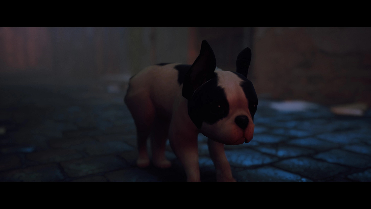 貓咪變狗狗 《Stray》新MOD讓你扮演一條可愛幼犬! 貓咪變狗狗 《Stray》新MOD讓你扮演一條可愛幼犬!