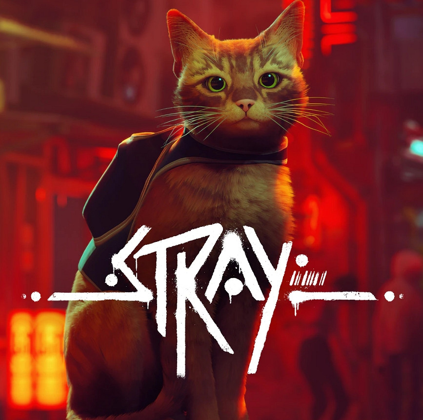 第三貓稱冒險遊戲《Stray》爆紅:家中貓咪連鎖反應! 第三貓稱冒險遊戲《Stray》爆紅:家中貓咪連鎖反應!
