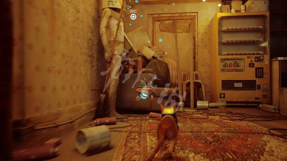 《浪貓》stray死路記憶收集攻略 死路記憶點在哪? 《浪貓》stray死路記憶收集攻略 死路記憶點在哪?