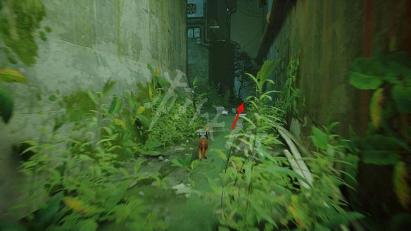 《浪貓》stray死路記憶收集攻略 死路記憶點在哪? 《浪貓》stray死路記憶收集攻略 死路記憶點在哪?