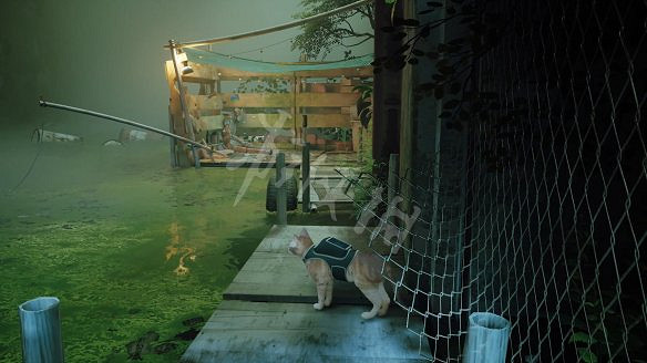 《浪貓》stray死路記憶收集攻略 死路記憶點在哪? 《浪貓》stray死路記憶收集攻略 死路記憶點在哪?