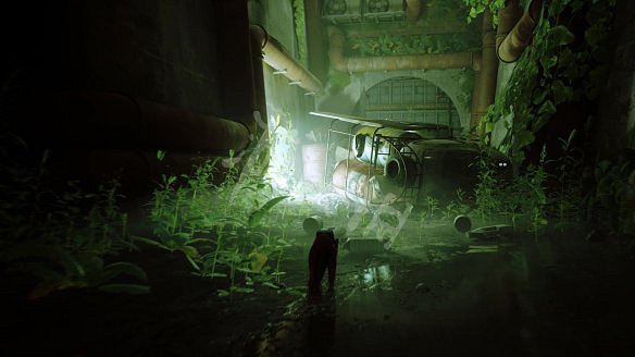 《浪貓》stray死路記憶收集攻略 死路記憶點在哪? 《浪貓》stray死路記憶收集攻略 死路記憶點在哪?