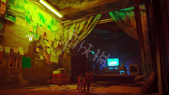 《浪貓》strayClementine在哪?Clementine去向線索收集攻略 《浪貓》strayClementine在哪?Clementine去向線索收集攻略