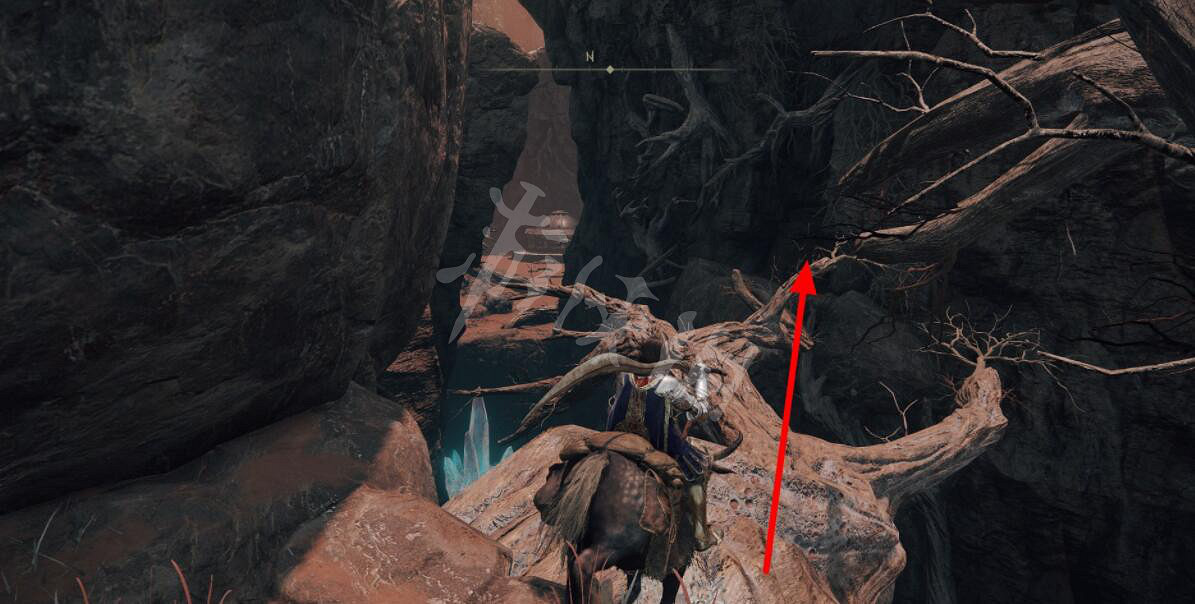 《艾爾登法環》毒蛇牙在哪刷?毒蛇牙獲取位置分享 《艾爾登法環》毒蛇牙在哪刷?毒蛇牙獲取位置分享