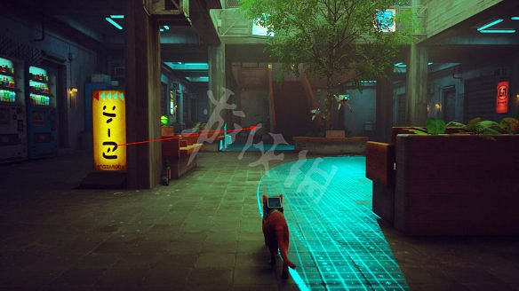 《浪貓》strayClementine在哪?Clementine去向線索收集攻略 《浪貓》strayClementine在哪?Clementine去向線索收集攻略