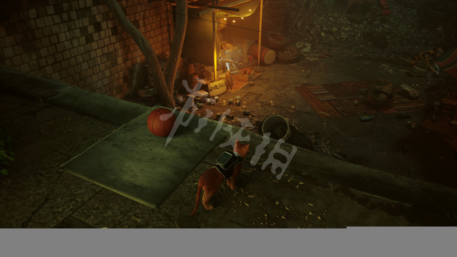 《浪貓》看喵的成就在哪完成?stray看喵的成就達成方法介紹 《浪貓》看喵的成就在哪完成?stray看喵的成就達成方法介紹