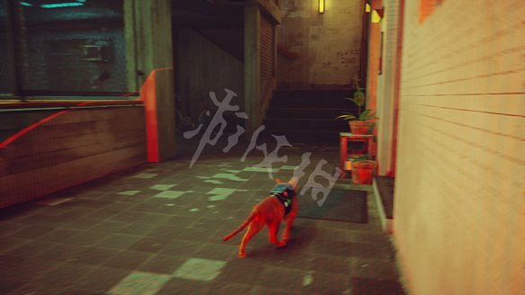 《浪貓》strayClementine在哪?Clementine去向線索收集攻略 《浪貓》strayClementine在哪?Clementine去向線索收集攻略