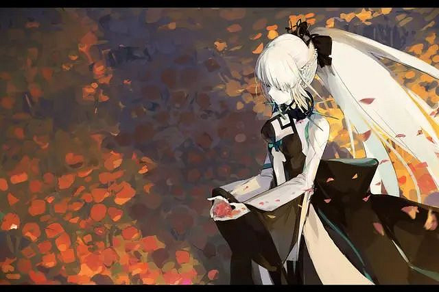 《FGO》摩根卡池分析 FGO中國伺服器摩根該不該抽