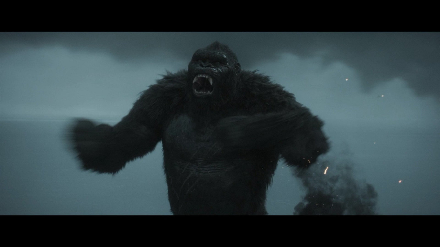 《決勝時刻:現代戰域》“帝王行動”5月12日上線 《決勝時刻:現代戰域》“帝王行動”5月12日上線