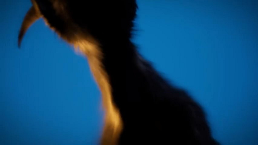 《模擬山羊3》發售日預告 11月17日正式上線 《模擬山羊3》發售日預告 11月17日正式上線