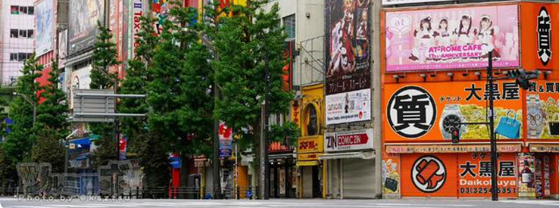 最後一屆的世萌,正在消失的一批二次元 最後一屆的世萌,正在消失的一批二次元