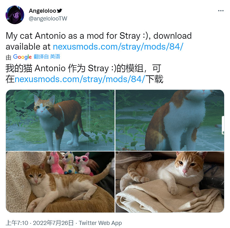 把自家貓貓放進《Stray》裡,攏共需要幾步? 把自家貓貓放進《Stray》裡,攏共需要幾步?