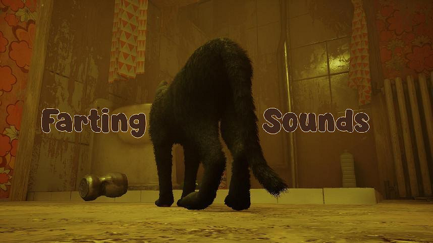 把自家貓貓放進《Stray》裡,攏共需要幾步? 把自家貓貓放進《Stray》裡,攏共需要幾步?