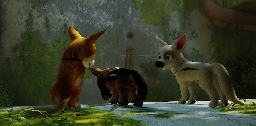 把自家貓貓放進《Stray》裡,攏共需要幾步? 把自家貓貓放進《Stray》裡,攏共需要幾步?