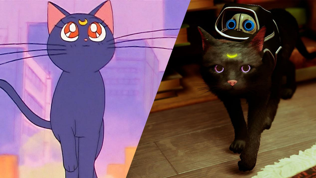 把自家貓貓放進《Stray》裡,攏共需要幾步? 把自家貓貓放進《Stray》裡,攏共需要幾步?