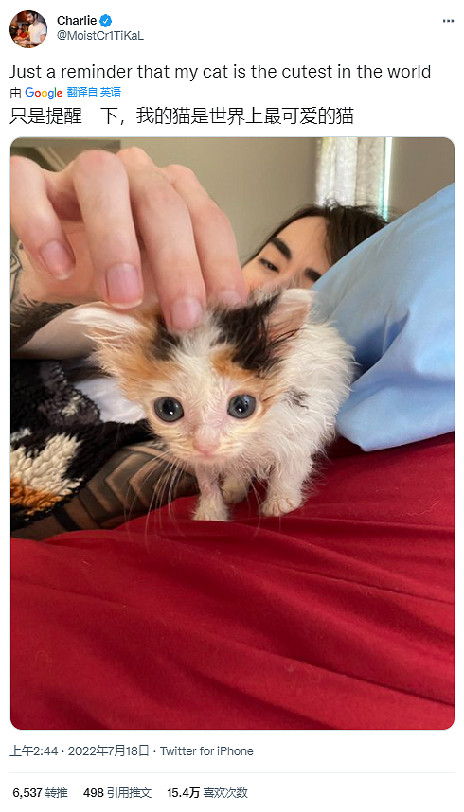 把自家貓貓放進《Stray》裡,攏共需要幾步? 把自家貓貓放進《Stray》裡,攏共需要幾步?