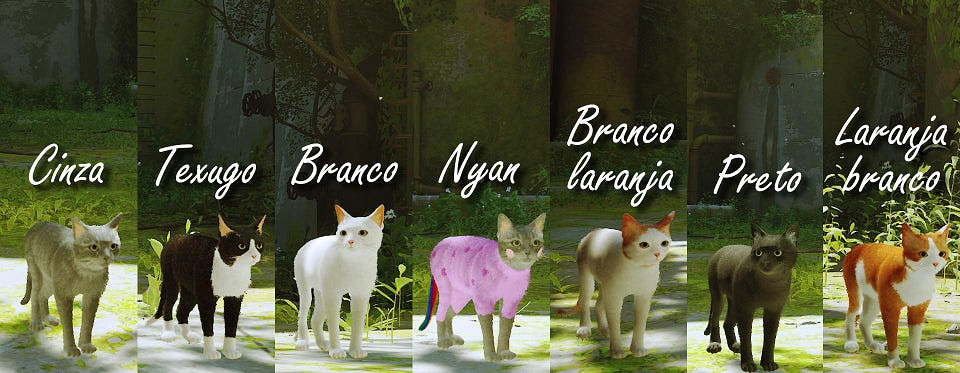 把自家貓貓放進《Stray》裡,攏共需要幾步? 把自家貓貓放進《Stray》裡,攏共需要幾步?