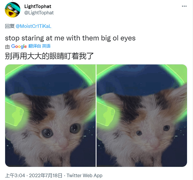 把自家貓貓放進《Stray》裡,攏共需要幾步? 把自家貓貓放進《Stray》裡,攏共需要幾步?