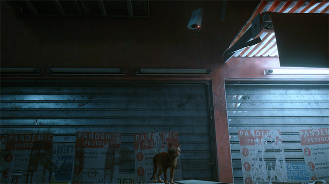 《浪貓》評測:你想在做一隻可愛貓貓嗎? 《浪貓》評測:你想在做一隻可愛貓貓嗎?