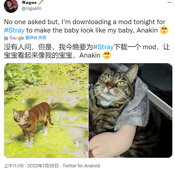 把自家貓貓放進《Stray》裡,攏共需要幾步? 把自家貓貓放進《Stray》裡,攏共需要幾步?