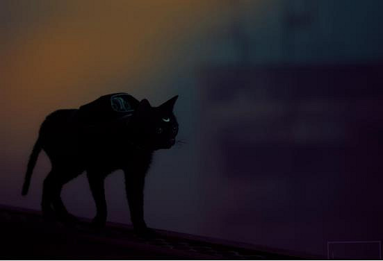 把自家貓貓放進《Stray》裡,攏共需要幾步? 把自家貓貓放進《Stray》裡,攏共需要幾步?