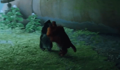 把自家貓貓放進《Stray》裡,攏共需要幾步? 把自家貓貓放進《Stray》裡,攏共需要幾步?