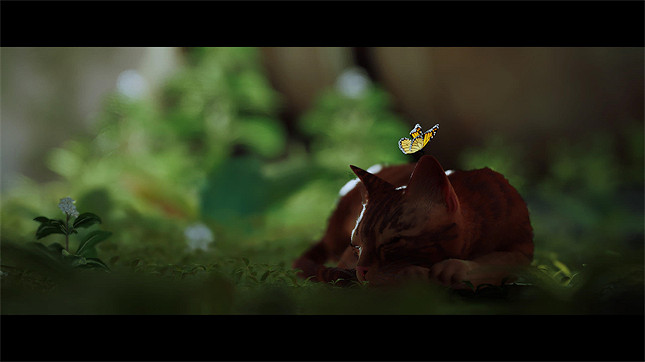 《浪貓》評測:你想在做一隻可愛貓貓嗎? 《浪貓》評測:你想在做一隻可愛貓貓嗎?