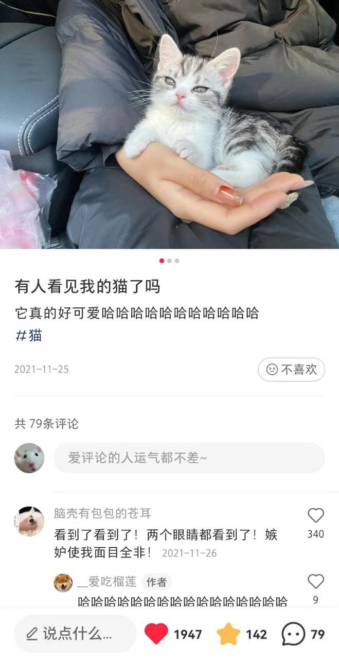 把自家貓貓放進《Stray》裡,攏共需要幾步? 把自家貓貓放進《Stray》裡,攏共需要幾步?