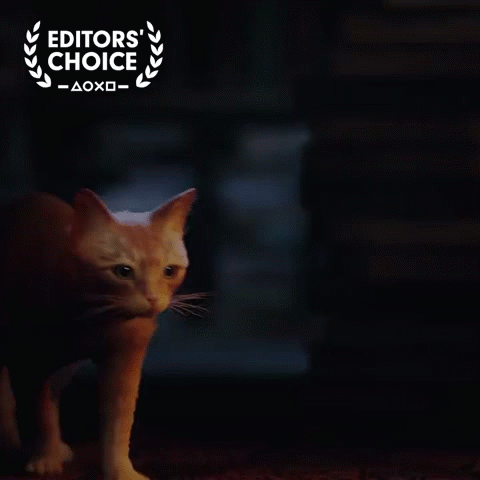 貓遊《Stray》入選PlayStation“編輯精選”遊戲名單