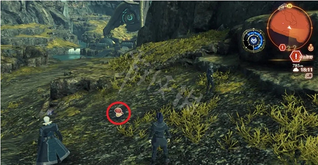 《異域神劍3》死神蘑菇在哪?死神蘑菇位置介紹 《異域神劍3》死神蘑菇在哪?死神蘑菇位置介紹