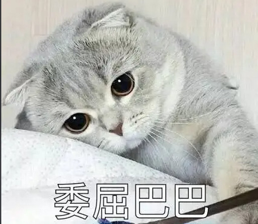 優秀更新反對,日常維護支援,這是什麽說法? 優秀更新反對,日常維護支援,這是什麽說法?