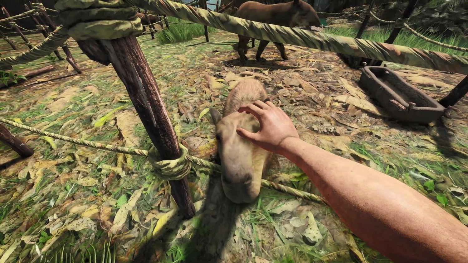 《綠色地獄》更新動物馴化和養蜂玩法！當個鏟屎官吧