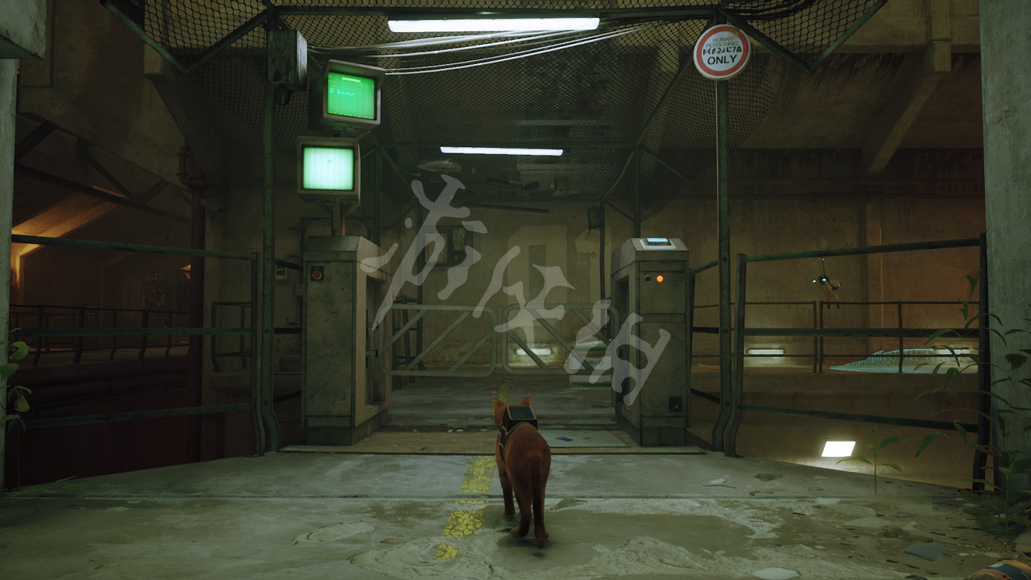 《浪貓》stray悄咪咪成就怎麽玩?stray悄咪咪成就玩法分享 《浪貓》stray悄咪咪成就怎麽玩?stray悄咪咪成就玩法分享