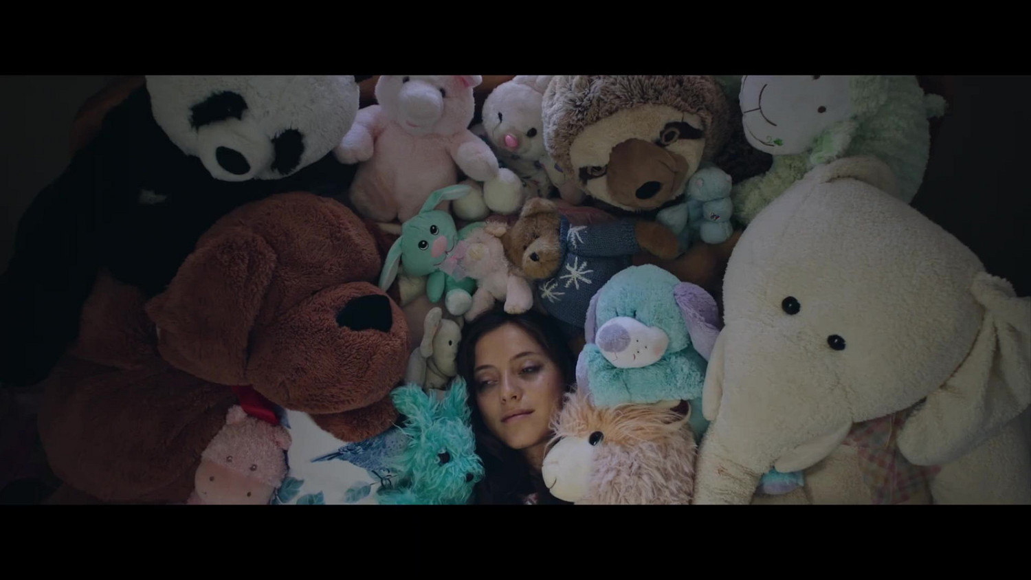 《方根書簡》同名改編電影預告公開 9月1日上映