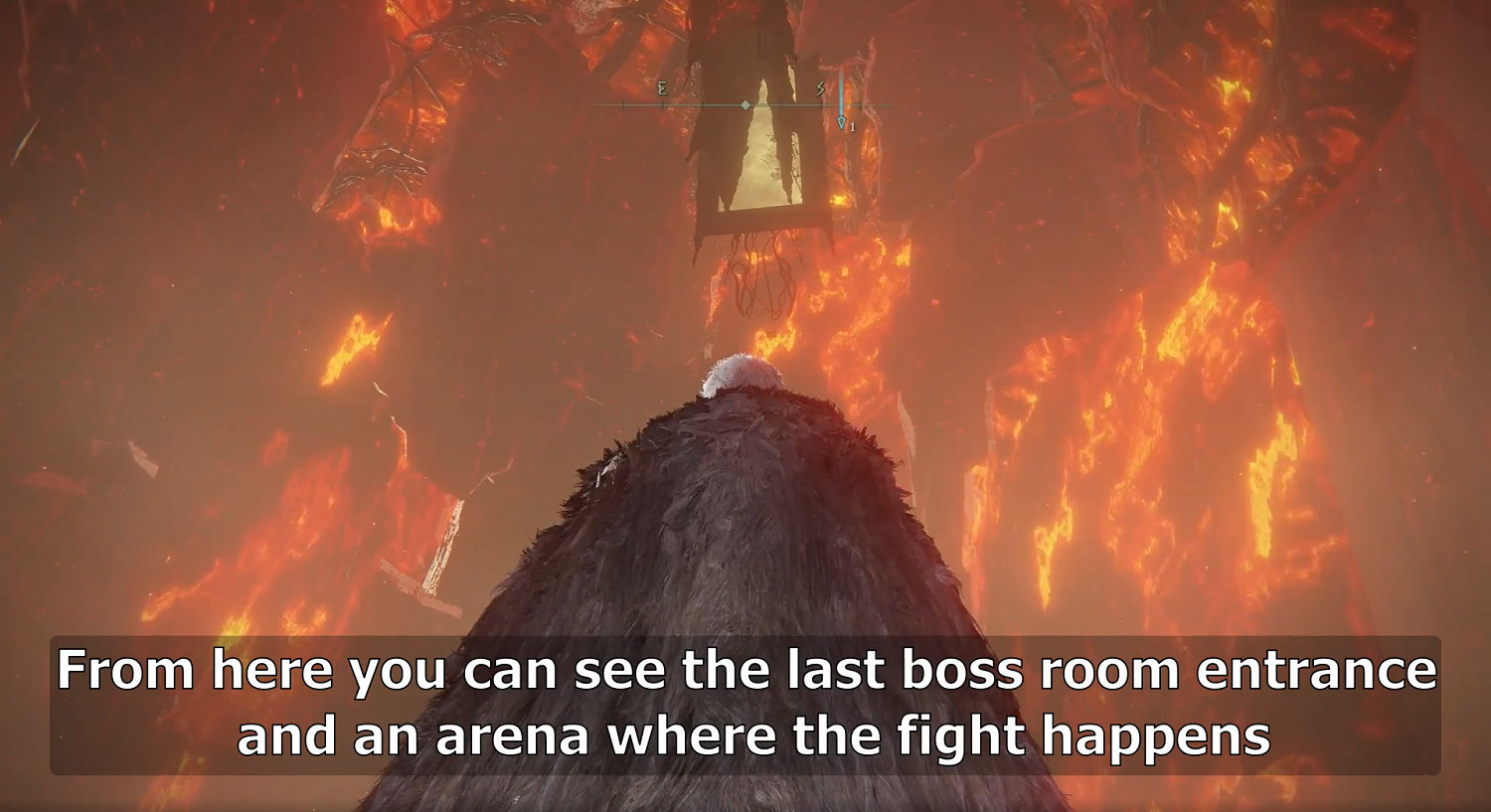 更多發現!《艾爾登法環》玩家靠水鳥亂舞達到黃金樹底部 更多發現!《艾爾登法環》玩家靠水鳥亂舞達到黃金樹底部