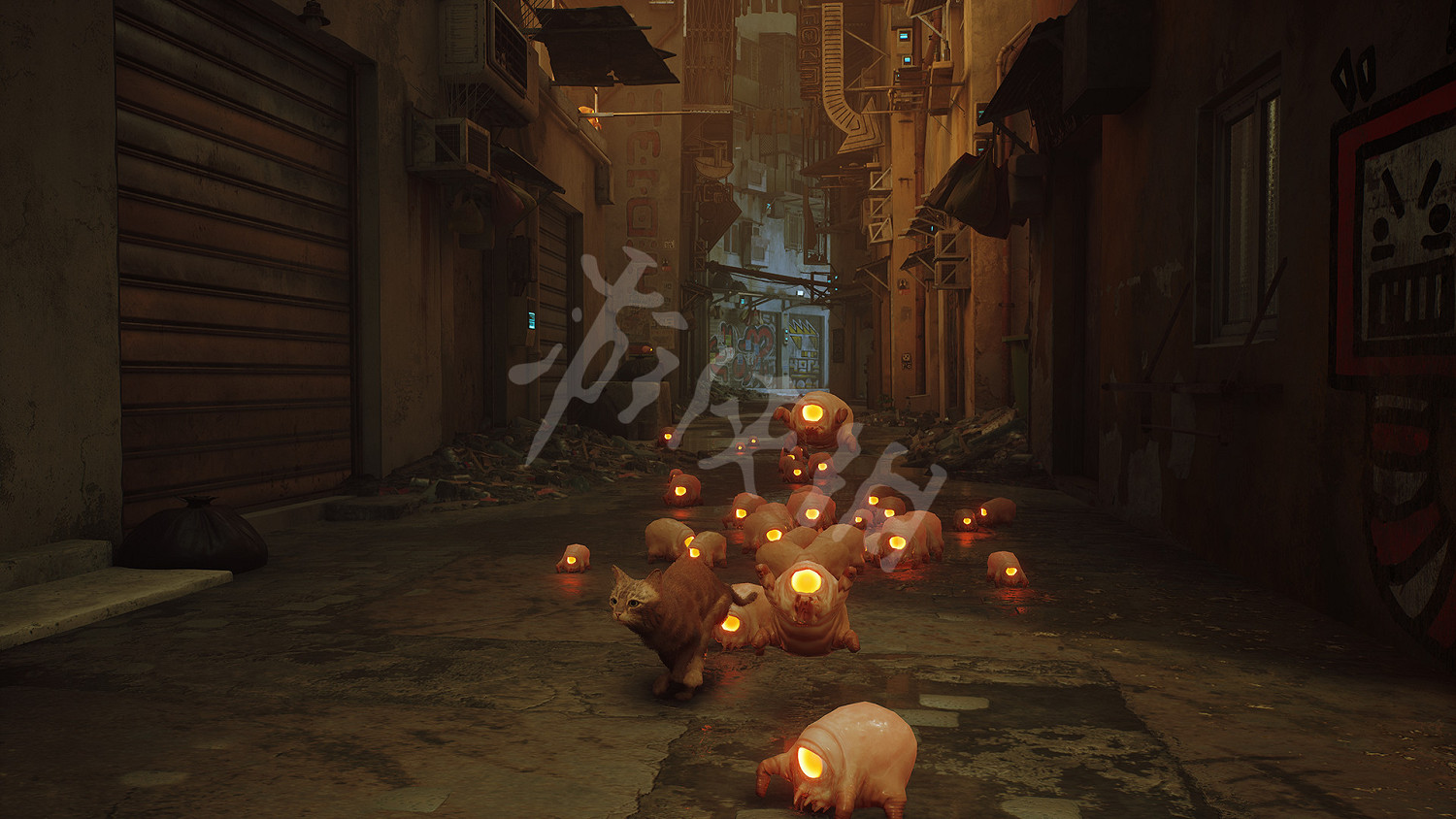 《浪貓》stray8月4日更新了什麽?8月4日更新內容一覽 《浪貓》stray8月4日更新了什麽?8月4日更新內容一覽