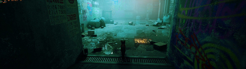 更真實貓貓!外媒發現《Stray》已悄悄支援光線追蹤 更真實貓貓!外媒發現《Stray》已悄悄支援光線追蹤