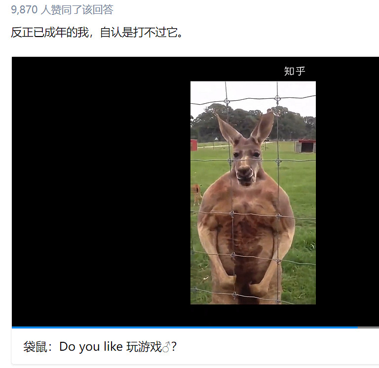 幹翻沈騰的袋鼠,到了遊戲裡表現如何? 幹翻沈騰的袋鼠,到了遊戲裡表現如何?