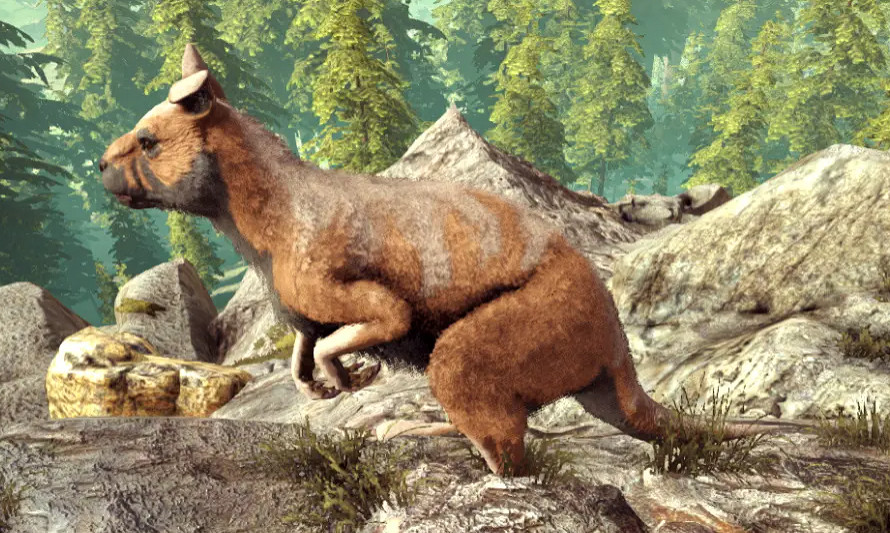 幹翻沈騰的袋鼠,到了遊戲裡表現如何? 幹翻沈騰的袋鼠,到了遊戲裡表現如何?