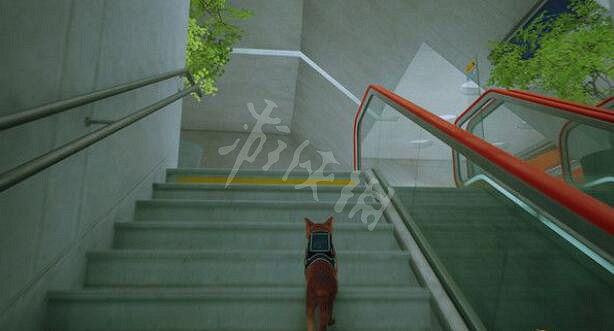 《浪貓》stray控制室怎麽進?控制室抓撓點獲得方法 《浪貓》stray控制室怎麽進?控制室抓撓點獲得方法