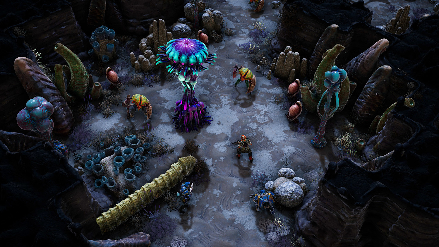 《鳳凰點》設計師：Epic獨占大有好處！不後悔搞獨占