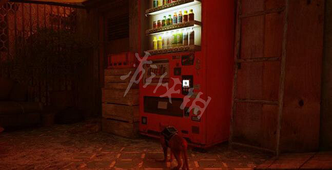 《浪貓》strayDoc家在哪裡?Doc家收集攻略 《浪貓》strayDoc家在哪裡?Doc家收集攻略