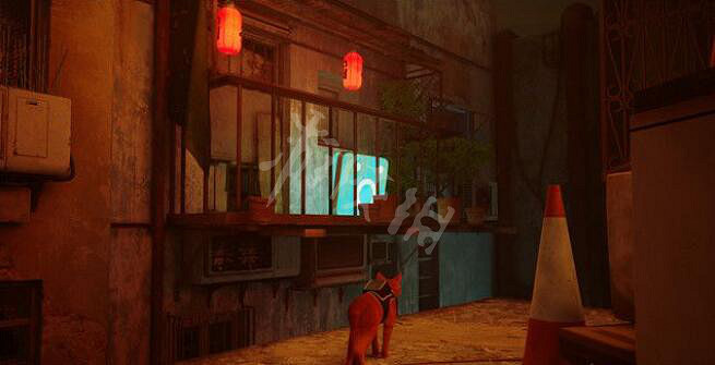 《浪貓》strayDoc家在哪裡?Doc家收集攻略 《浪貓》strayDoc家在哪裡?Doc家收集攻略