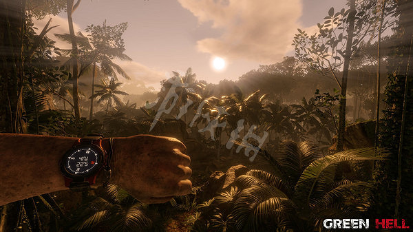 《綠色地獄》8月8日更新了什麽?8月8日更新內容一覽 《綠色地獄》8月8日更新了什麽?8月8日更新內容一覽