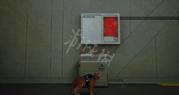 《浪貓》stray控制室怎麽進?控制室抓撓點獲得方法 《浪貓》stray控制室怎麽進?控制室抓撓點獲得方法